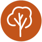 Vegano Hidrata